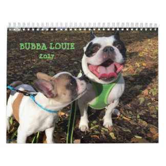 CALENDRIER DE 2017 LOUIE DE BUBBA