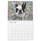 CALENDRIER DE 2017 LOUIE DE BUBBA (Jan 2026)