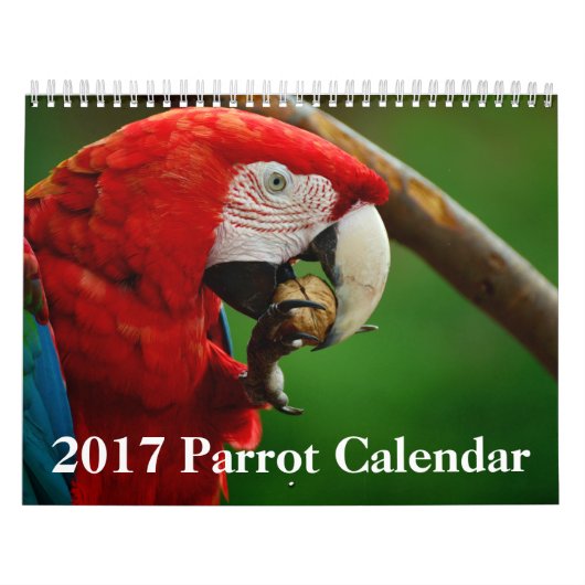 Calendrier de 2017 perroquets (Protection)
