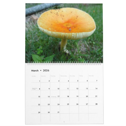 Calendrier de 2018 paysages (Mar 2026)