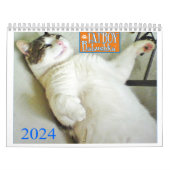 CALENDRIER DE BABUSHKA 2024 (Protection)