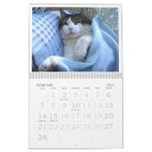 CALENDRIER DE BABUSHKA 2024 (Feb 2027)