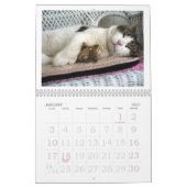 CALENDRIER DE BABUSHKA 2024 (Jan 2027)