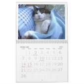 CALENDRIER DE BABUSHKA 2025 (Feb 2027)