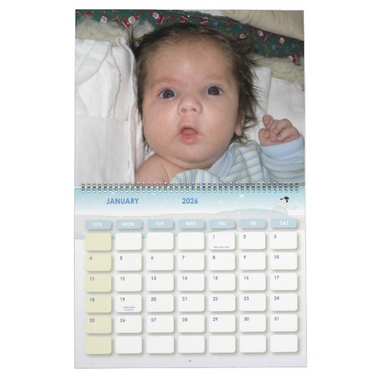 Calendrier de Baby Steve (Jan 2026)