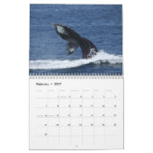 Calendrier de baleines de bosse (Feb 2027)