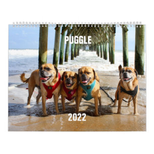 Calendrier de basculement 2022