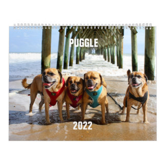 Calendrier de basculement 2022