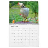 Calendrier de basse cour de poulet (Mar 2026)