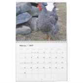 Calendrier de basse cour de poulet (Feb 2027)