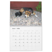 Calendrier de beagle de 12 mois - quel chien ! (Mar 2026)