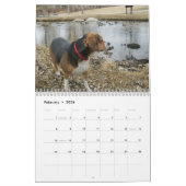 Calendrier de beagle de 12 mois - quel chien ! (Feb 2026)