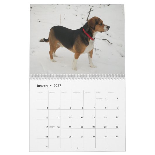 Calendrier de beagle de 12 mois - quel chien ! (Jan 2027)