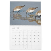 Calendrier de beaux oiseaux (Mar 2027)