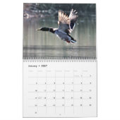 Calendrier de beaux oiseaux (Jan 2027)