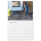 Calendrier de beaux oiseaux (Feb 2027)