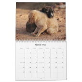 Calendrier de bébés animaux mignons (Mar 2027)