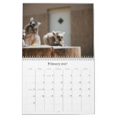 Calendrier de bébés animaux mignons (Feb 2027)