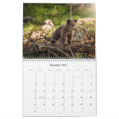Calendrier de bébés animaux mignons (Jan 2027)
