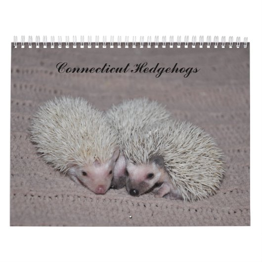 Calendrier de bébés de hérisson (Protection)