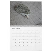 Calendrier de bébés de hérisson (Mar 2027)