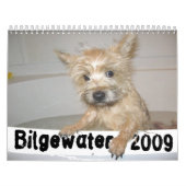Calendrier de Bilgewater (Protection)
