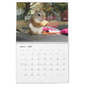 Calendrier de Bluster l'écureuil roux 2026 (Mar 2027)
