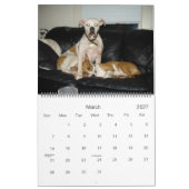 Calendrier de bouledogue de 2010 Américains (Mar 2027)