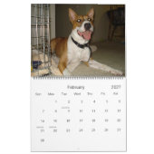 Calendrier de bouledogue de 2010 Américains (Feb 2027)