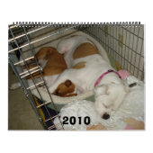 Calendrier de bouledogue de 2010 Américains (Protection)