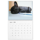 Calendrier de bouledogue français (Mar 2026)
