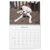 Calendrier de BoxerCrazy 2009 (Mar 2027)