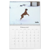 Calendrier de BoxerCrazy 2009 (Feb 2027)