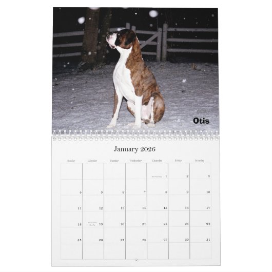Calendrier de BoxerCrazy 2009 (Jan 2026)