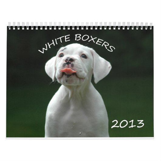 Calendrier de boxeur de 2013 blancs (Protection)