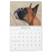 Calendrier de boxeur de 2013 expositions (Feb 2027)