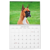 Calendrier de boxeur de 2013 expositions (Jan 2027)