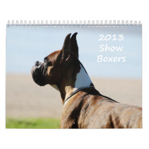Calendrier de boxeur de 2013 expositions