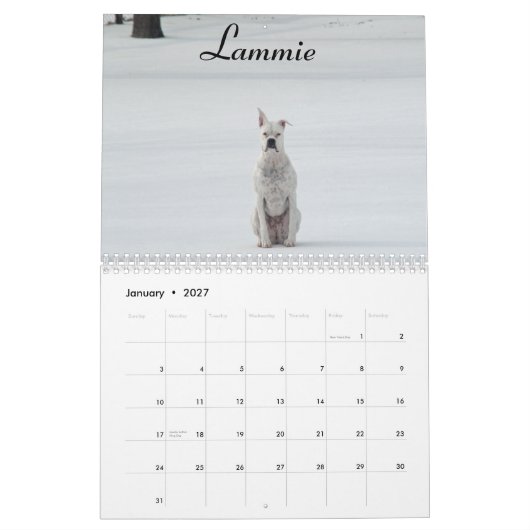 Calendrier de boxeur de 2015 blancs (Jan 2027)