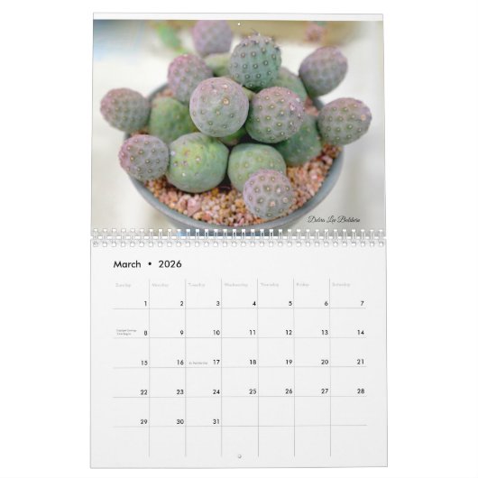 Calendrier de Cactus par Debra Lee Baldwin (Mar 2026)