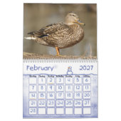 Calendrier de canards de Mallard (Feb 2027)