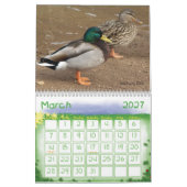 Calendrier de canards de Mallard (Mar 2027)