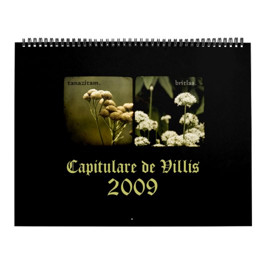 Calendrier de Capitulare de Villis 2009 (Protection)