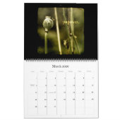 Calendrier de Capitulare de Villis 2009 (Mar 2026)