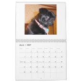 calendrier de carlin (Mar 2027)