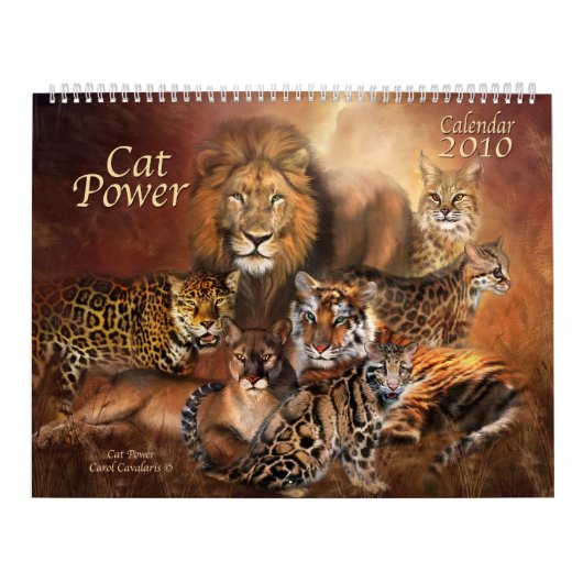 Calendrier de Cat Power 2010 (Protection)