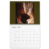 Calendrier de caverne (Feb 2026)