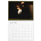 Calendrier de caverne (Jan 2026)