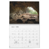 Calendrier de cavernes (Mar 2026)