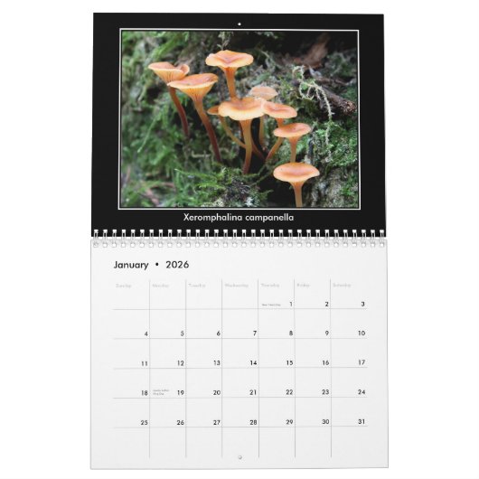 Calendrier de champignon (Jan 2026)